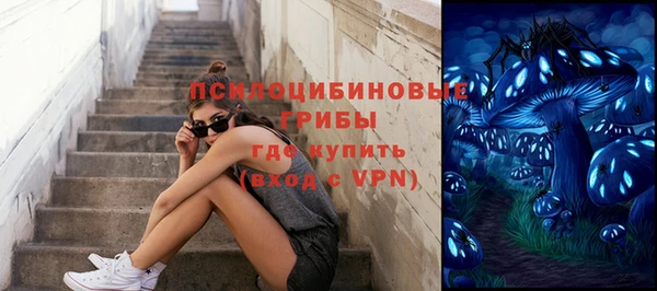 дурь Зеленокумск