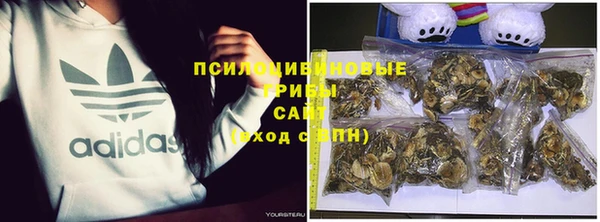 каннабис Алзамай