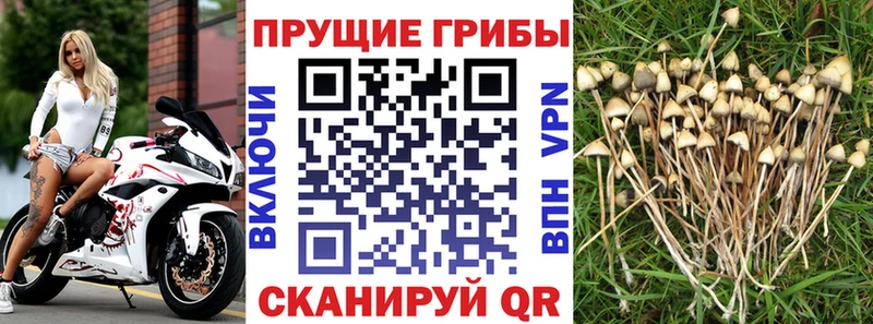 Галлюциногенные грибы мицелий  цена   Дзержинск 