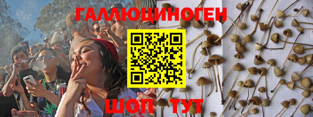 Галлюциногенные грибы MAGIC MUSHROOMS Дзержинск