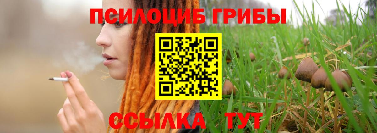 Дзержинск  Галлюциногенные грибы GOLDEN TEACHER  Вход с VPN 